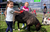 Youngsters enjoy animal encounter at the Beacon